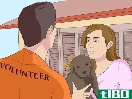 Image titled Become a Guide Dog Trainer Step 2