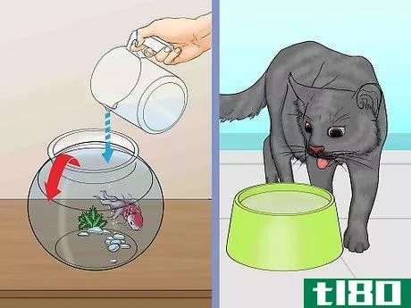 Image titled Be a Good Pet Owner Step 4