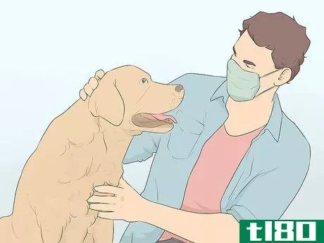 Image titled Care for Animals During the Coronavirus Outbreak Step 10