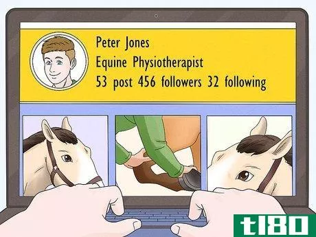 Image titled Become an Equine Physiotherapist Step 15