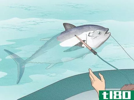 Image titled Catch Bluefin Tuna Step 14