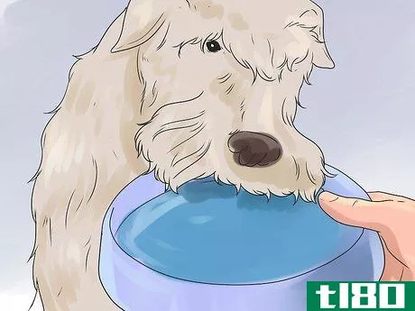 Image titled Be a Good Dog Owner Step 11