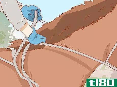 Image titled Avoid Injuries While Falling Off a Horse Step 26