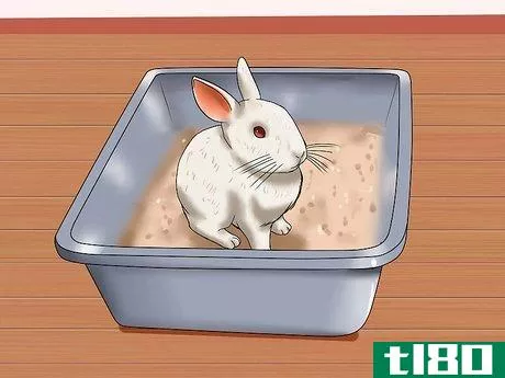 Image titled Care for Florida White Rabbits Step 10