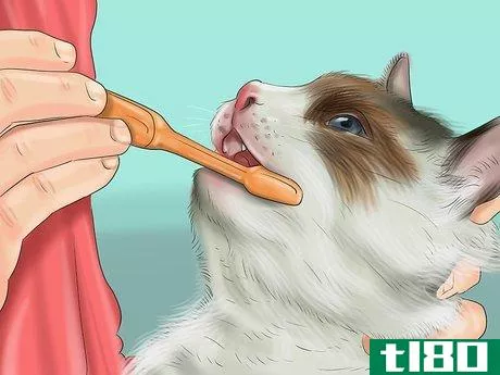 Image titled Care for Ragdoll Cats Step 11