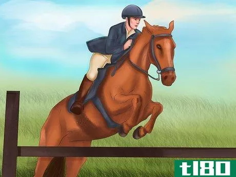 Image titled Be an Equestrian Step 12