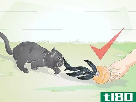 Image titled Buy Pet Training Supplies Step 13