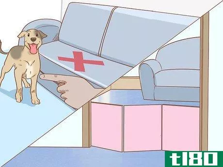 Image titled Care for Dogs Step 14