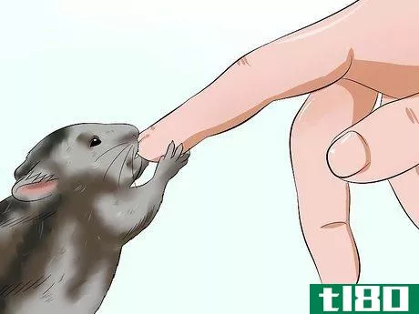 Image titled Care for a Russian Dwarf Hamster Step 18