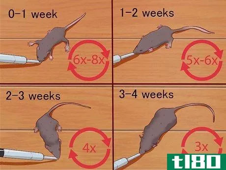 Image titled Care for Baby Mice Step 7
