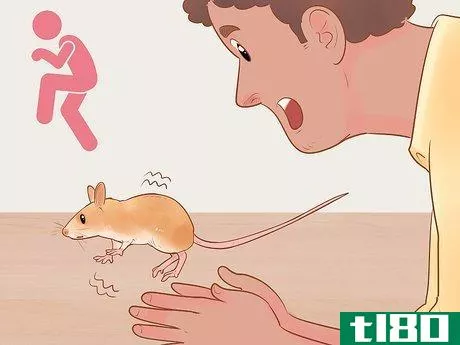 Image titled Avoid Frightening Your Pet Mouse Step 5