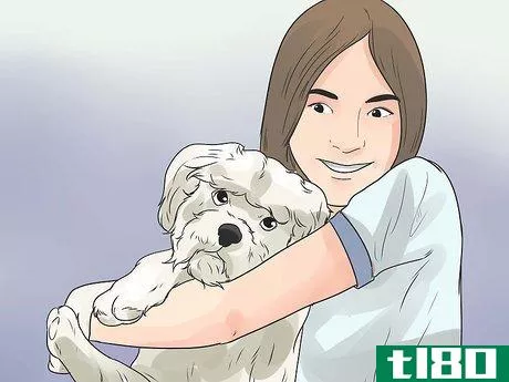 Image titled Care for a Maltese Dog Step 17