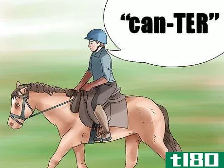 Image titled Canter With Your Horse Step 4