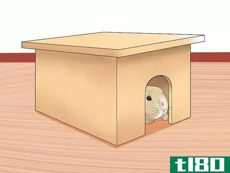 Image titled Care for Holland Lop Rabbits Step 6