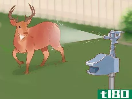 Image titled Break Up a Deer Fight Step 12