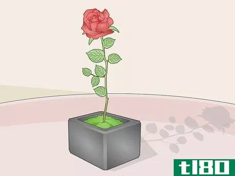 Image titled Arrange Flowers in a Vase Step 4
