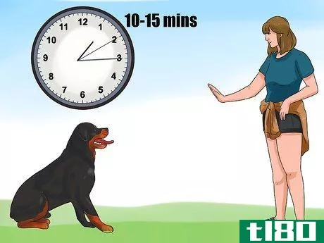Image titled Be a Good Dog Owner Step 17