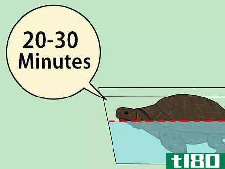Image titled Care for a Hibernating Turtle Step 8
