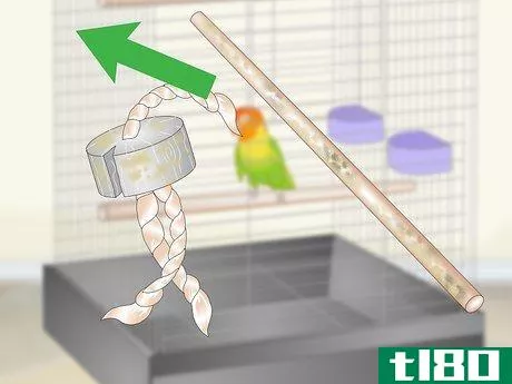 Image titled Clean and Maintain a Lovebird Habitat Step 7