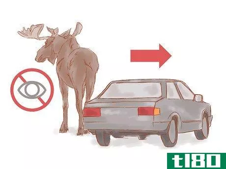Image titled Avoid a Moose or Deer Collision Step 11