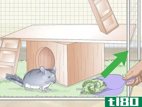 Image titled Care for Chinchillas Step 8