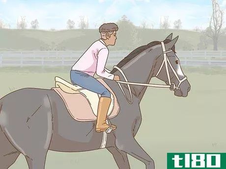 Image titled Calm Your Horse Down Quickly Step 7