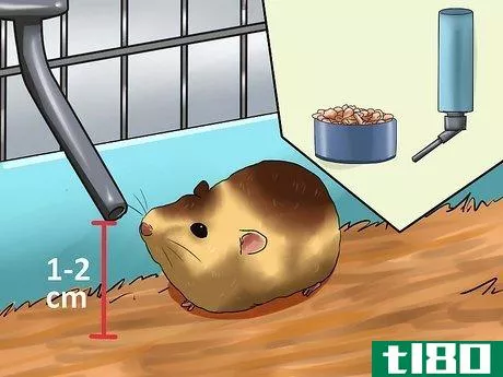 Image titled Care for Newborn Hamsters Step 9
