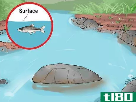 Image titled Bait and Use a Minnow Trap Step 5