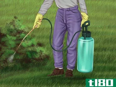 Image titled Avoid Poisoning Your Dog with Lawn Chemicals Step 4