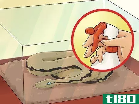 Image titled Care for a Shedding Snake Step 3