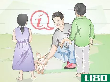 Image titled Calm a Vicious Rabbit Step 8