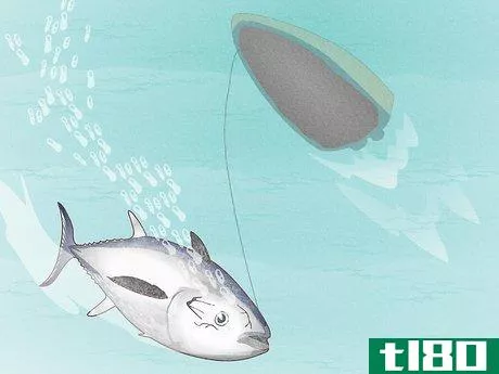 Image titled Catch Bluefin Tuna Step 12