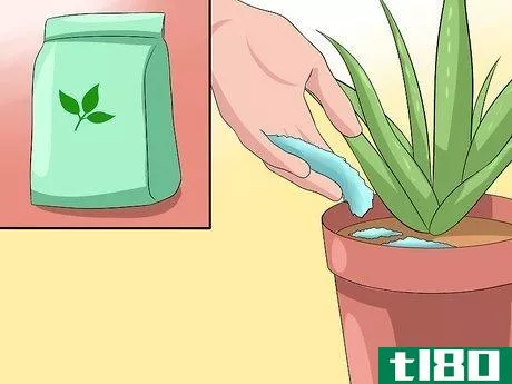 Image titled Care for Your Aloe Vera Plant Step 3