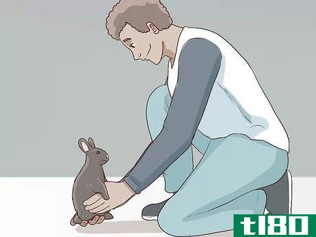 Image titled Carry a Rabbit Step 3