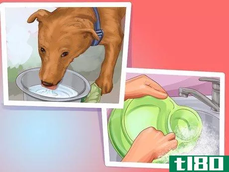 Image titled Be a Responsible Dog Owner Step 2