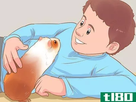 Image titled Bond With Your Guinea Pig Step 16