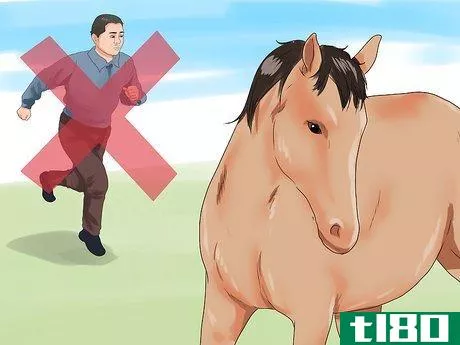 Image titled Approach Your Horse Step 15