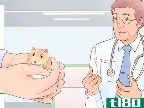 Image titled Care for Dwarf Hamsters Step 13