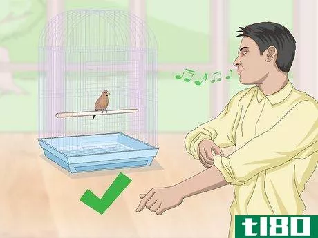 Image titled Bond with Pet Finches Step 1