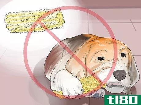 Image titled Avoid Foods Dangerous for Your Dog Step 10