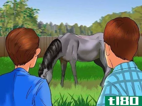Image titled Buy a Trail Horse Step 11