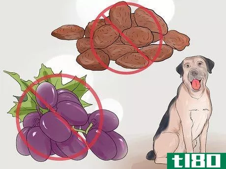 Image titled Avoid Foods Dangerous for Your Dog Step 6