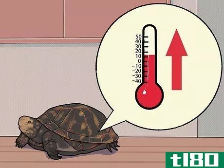 Image titled Care for a Hibernating Turtle Step 22
