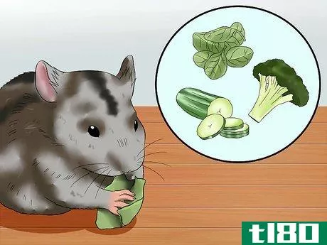 Image titled Care for a Russian Dwarf Hamster Step 6