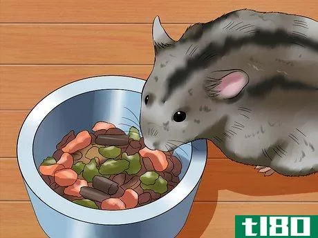 Image titled Care for a Russian Dwarf Hamster Step 5