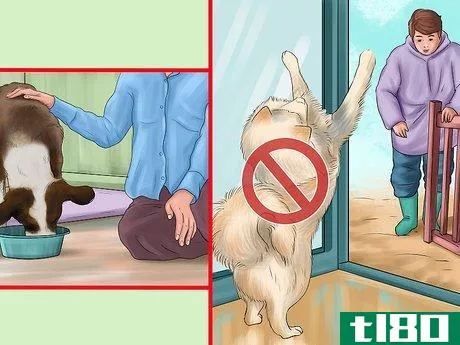 Image titled Bring up a Gentle and Pleasant Dog Step 10