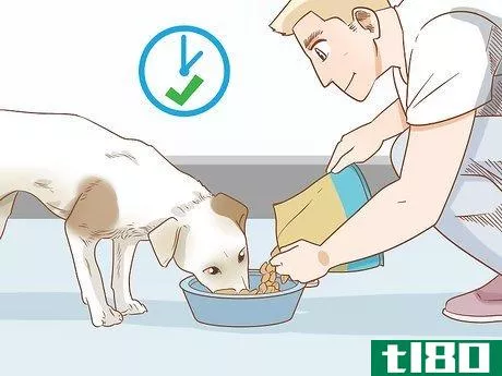Image titled Care for Dogs Step 5