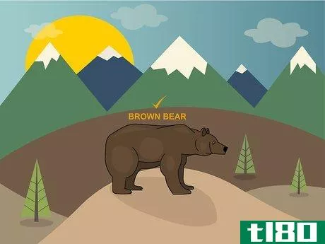 Image titled Bear Hunt Step 01