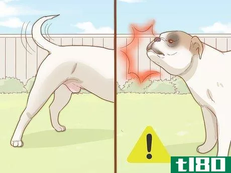 Image titled Care for Your Older Dog Step 14