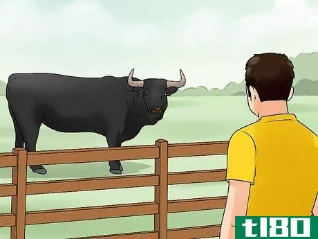 Image titled Avoid or Escape a Bull Step 4
